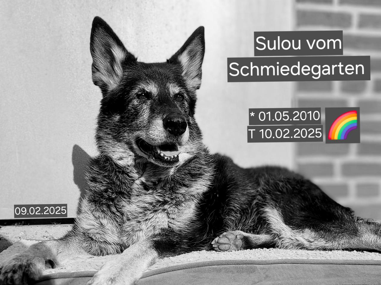 Sulou